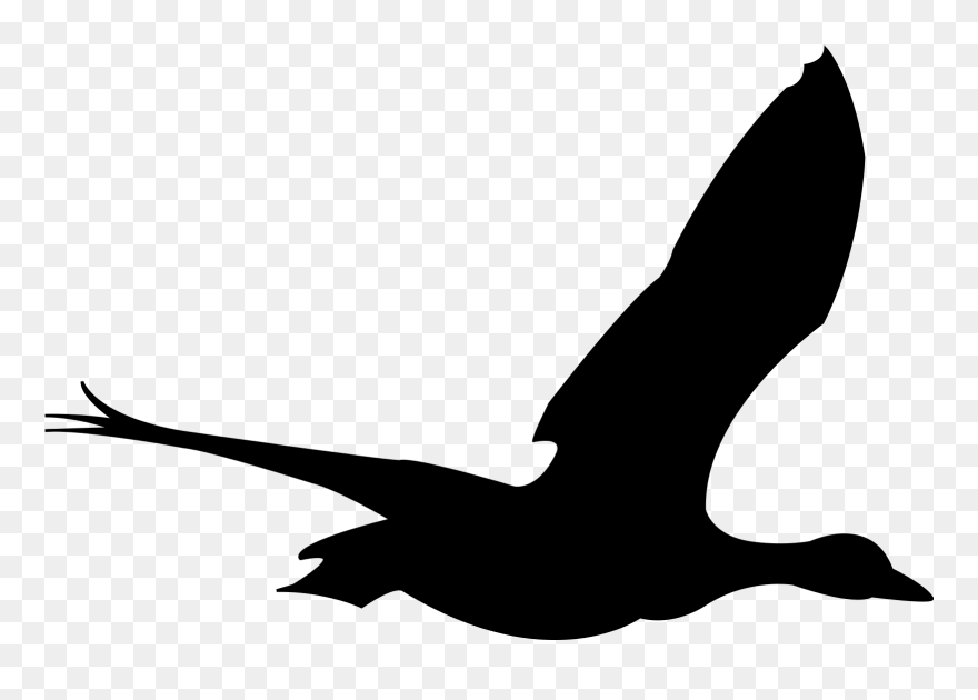 Silhouettes Of Flying Birds Clipart