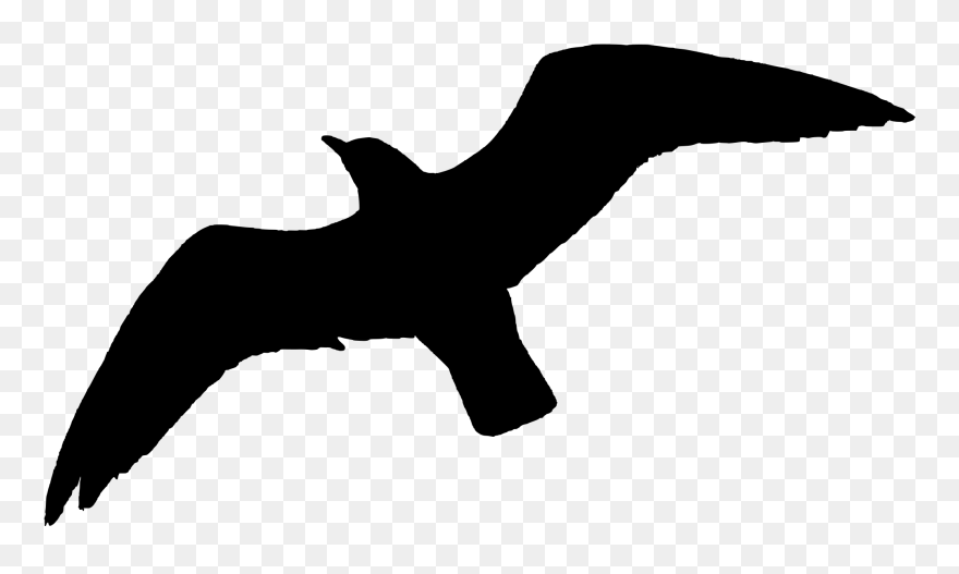 Turkey Bird Clipart Transparent Tumblr - Bird Flying Silhouette Png