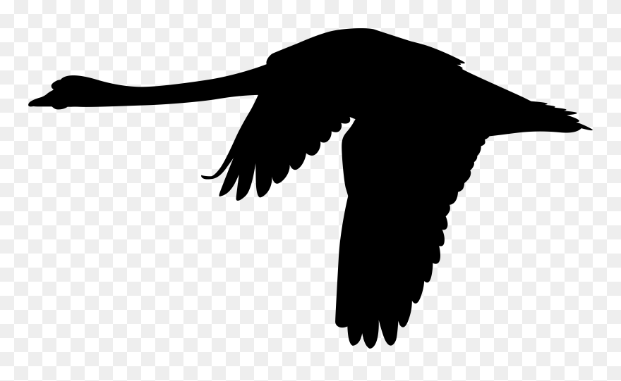 Mute Swan Flight Silhouette Clip Art - Hercules Caves - Png Download