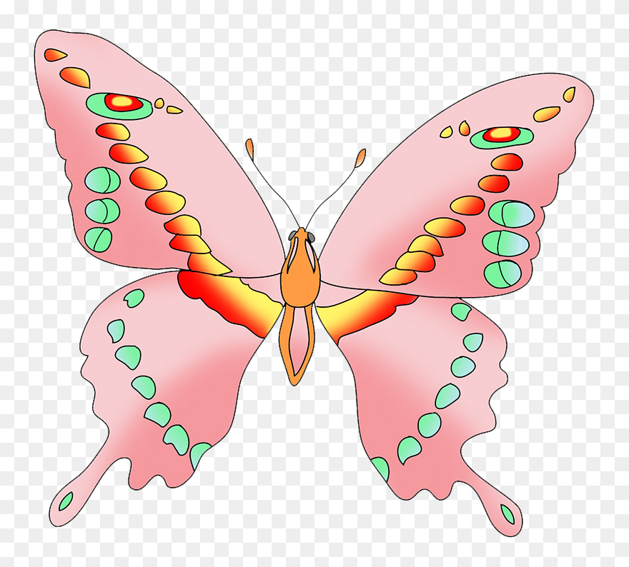 Pink Butterfly Clipart - Swallowtail Butterfly - Png Download