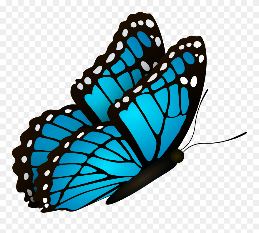Flying Clipart Blue Butterfly - Png Download