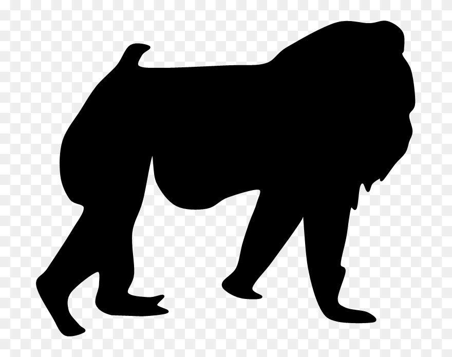 Lion Png Download - Lion Clipart