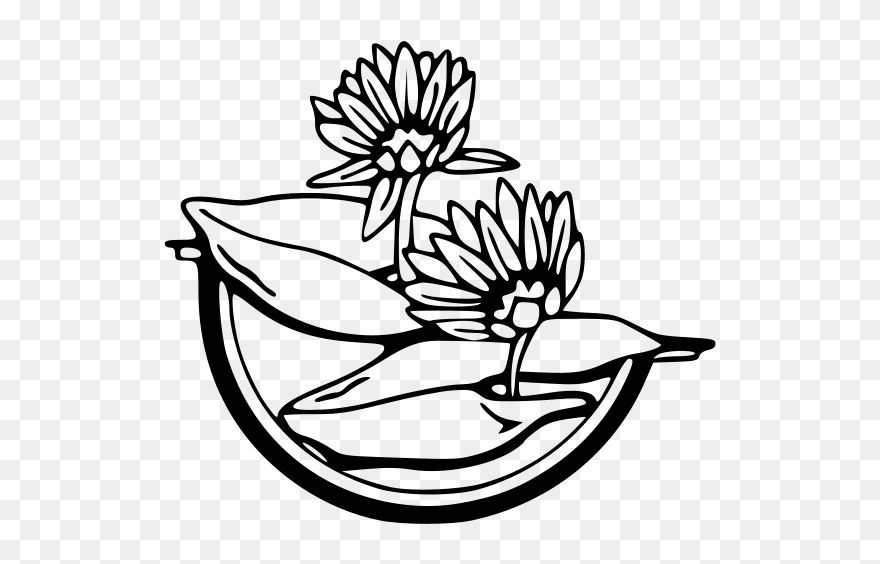 Leland Mcinnes Water Lily Svg Clip Arts - Water Lily Clip Art - Png Download