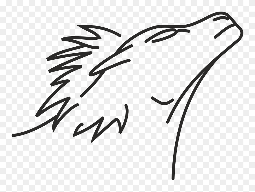 Lion Line Drawing - Line Drawing Com Lion Clipart