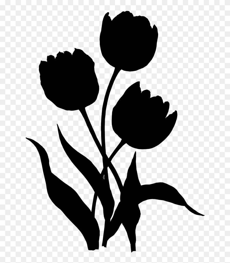 Tulip Rose Family Clip Art Plant Stem Leaf - Plaza Mayor - Png Download
