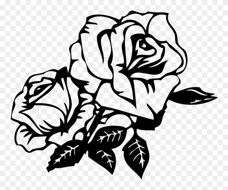 Black And White Roses Clipart - Png Download