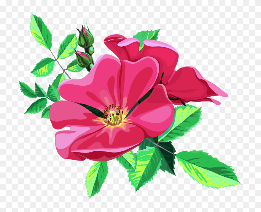 Transparent Animated Flower Png Clipart