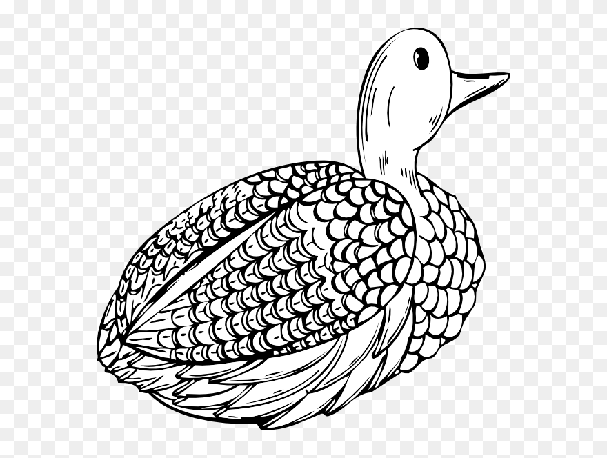 Omalovanky Kachna Clipart