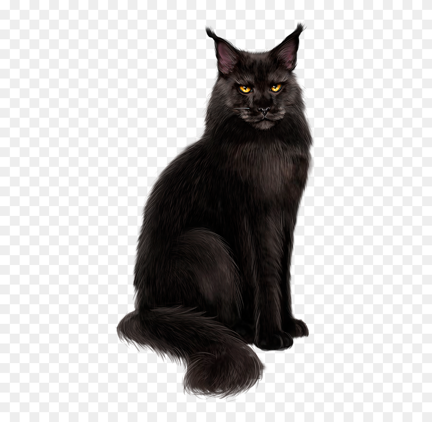 Cats Illustratie Png Clipart