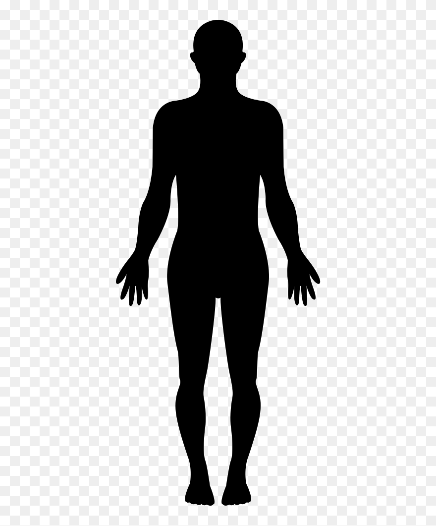 Humans Clipart Whole Body, Humans Whole Body Transparent - Female Silhouette - Png Download