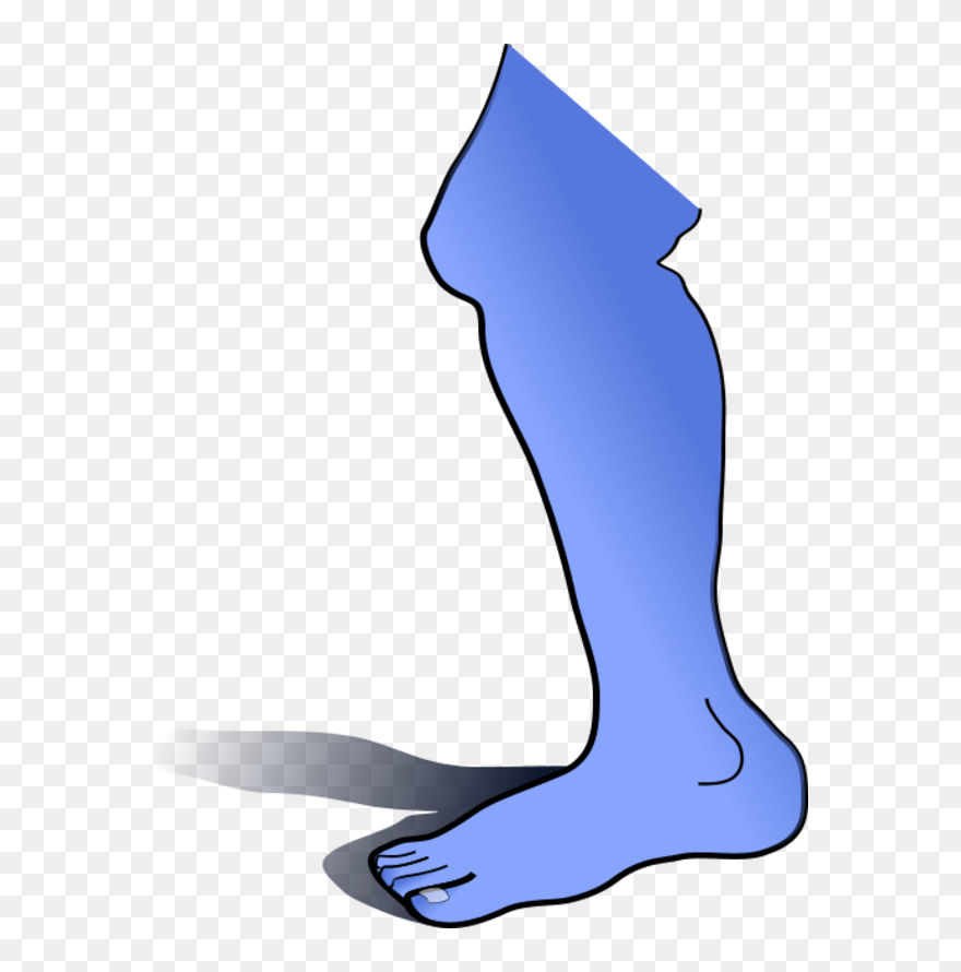 Vector Clip Art - Leg Clip Art - Png Download
