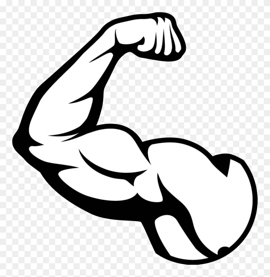 Muscle Png Image - Muscle Png Clipart