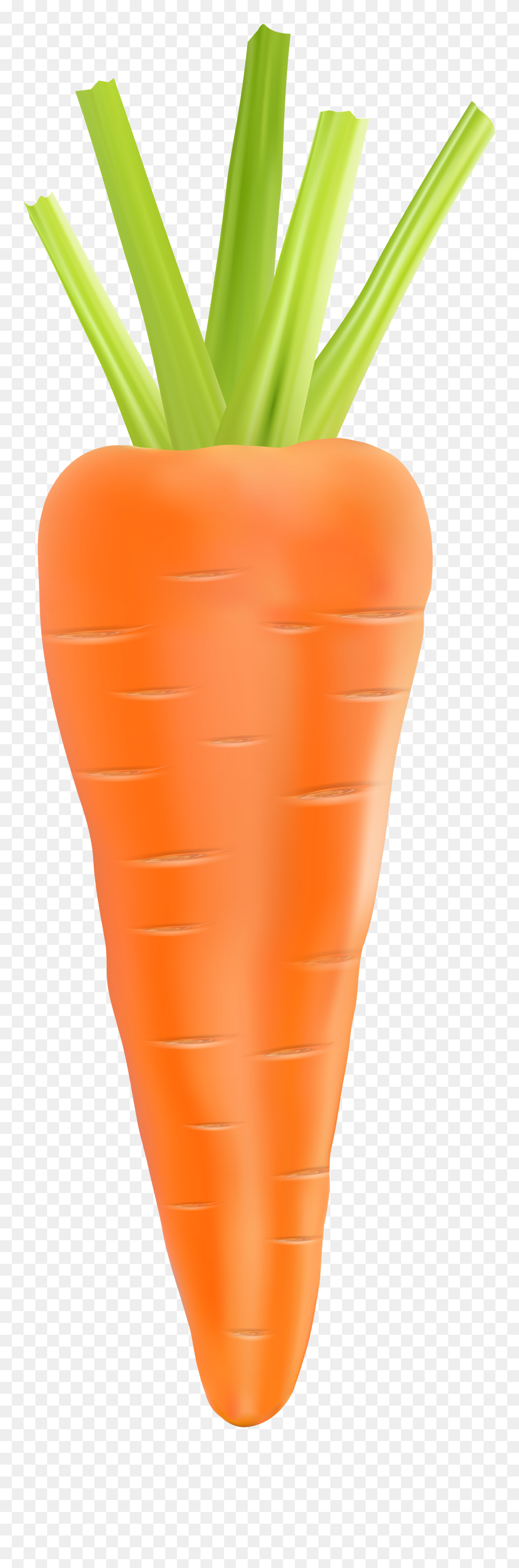 Clipart Vegetables Carrot, Clipart Vegetables Carrot - Transparent Background Bunch Carrots Clipart - Png Download