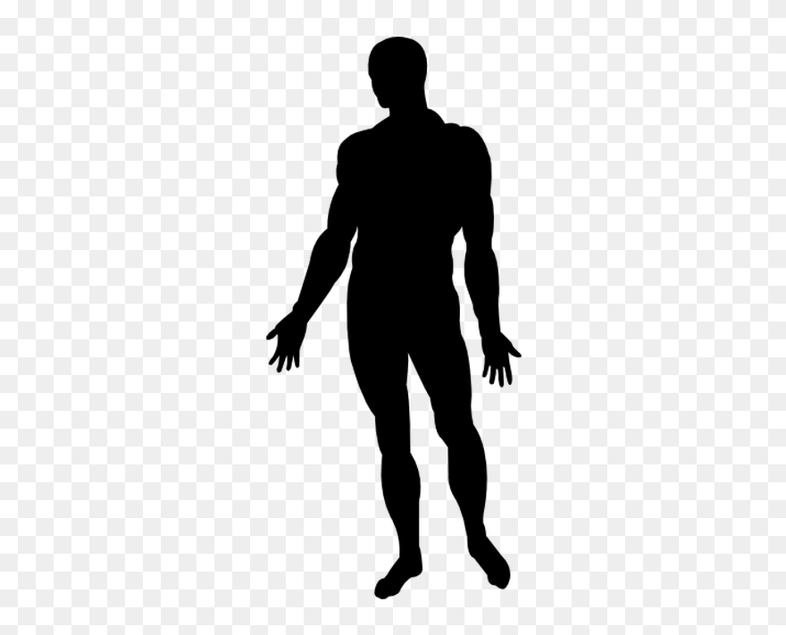 Human Body Silhouette Homo Sapiens Photography - Human Body Silhouette Png Clipart
