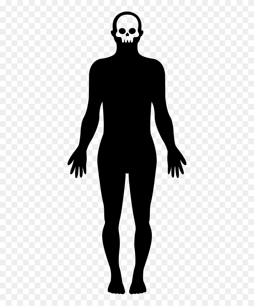 Body Shape Svg Png - Silueta Del Cuerpo Humano Clipart