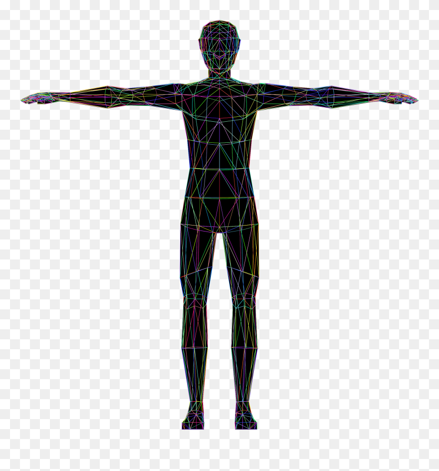 Human Clipart Wireframe - Anatomia Humana Vector Png Transparent Png