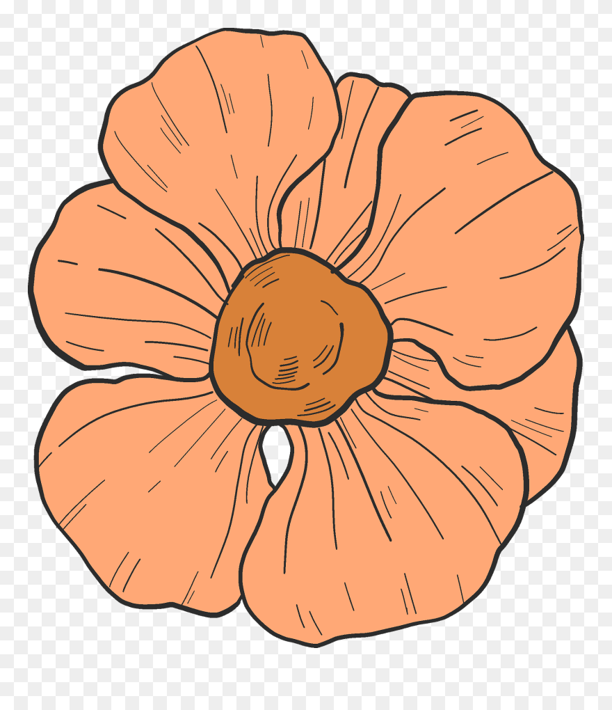 Winter Squash Clipart