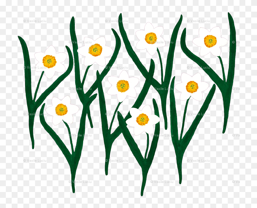 Transparent Spring Flower Clipart - Illustration - Png Download