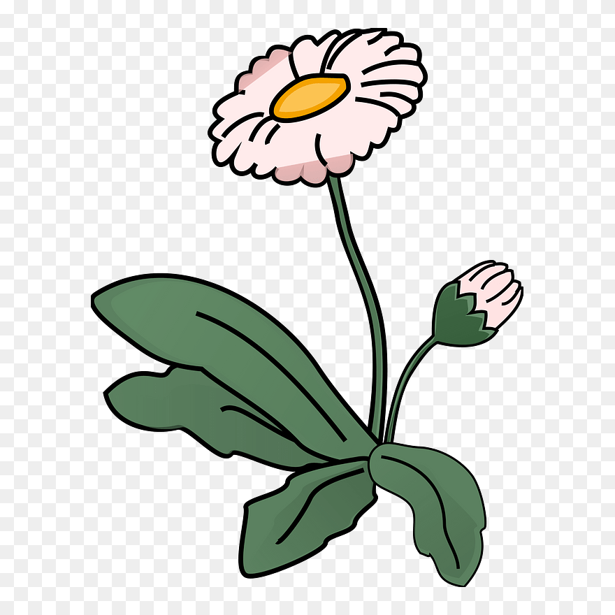 Blume Clipart - Png Download