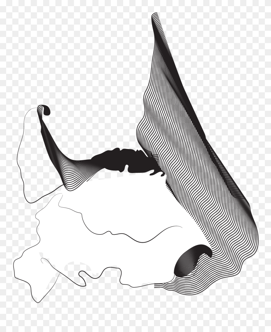 Illustration Clipart