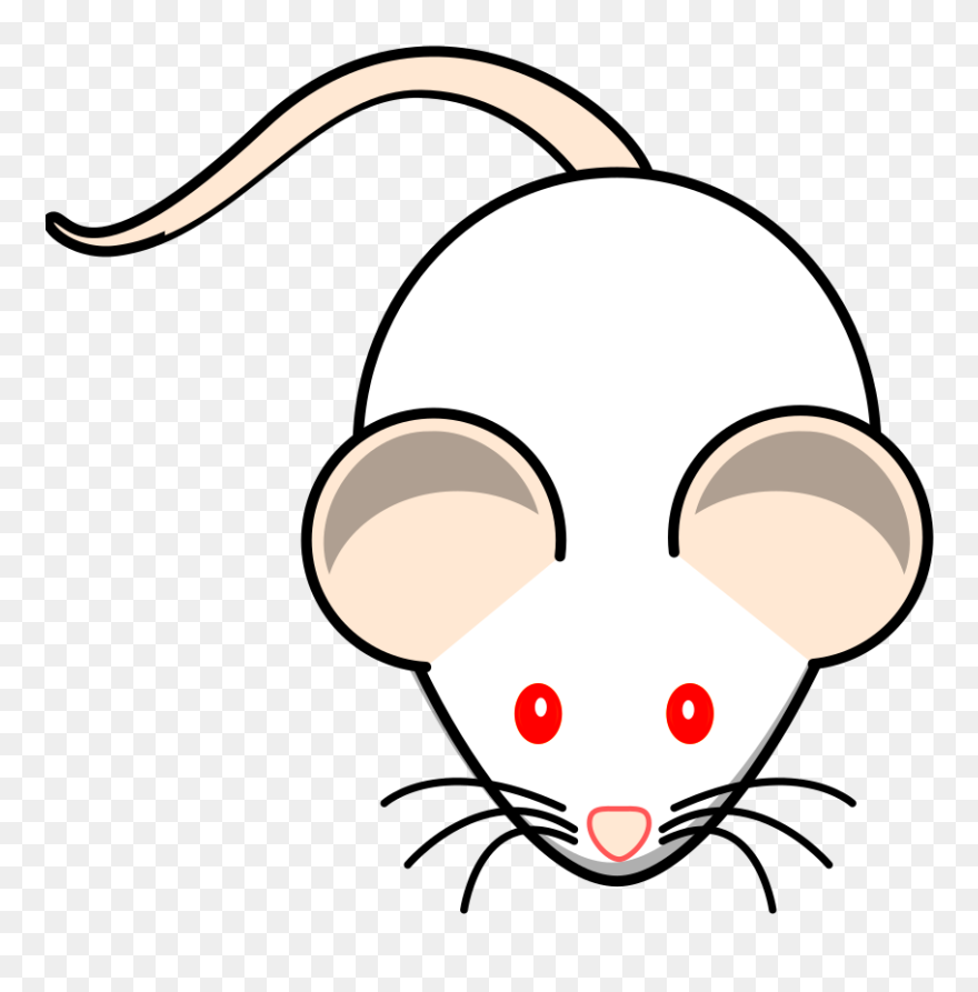 Egér Színező Clipart