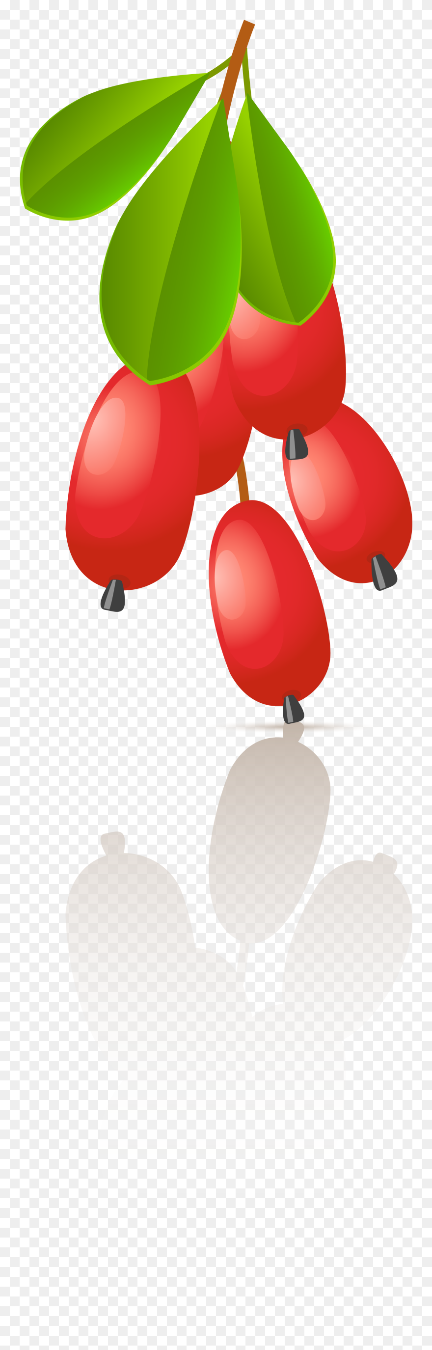 Clip Art - Png Download
