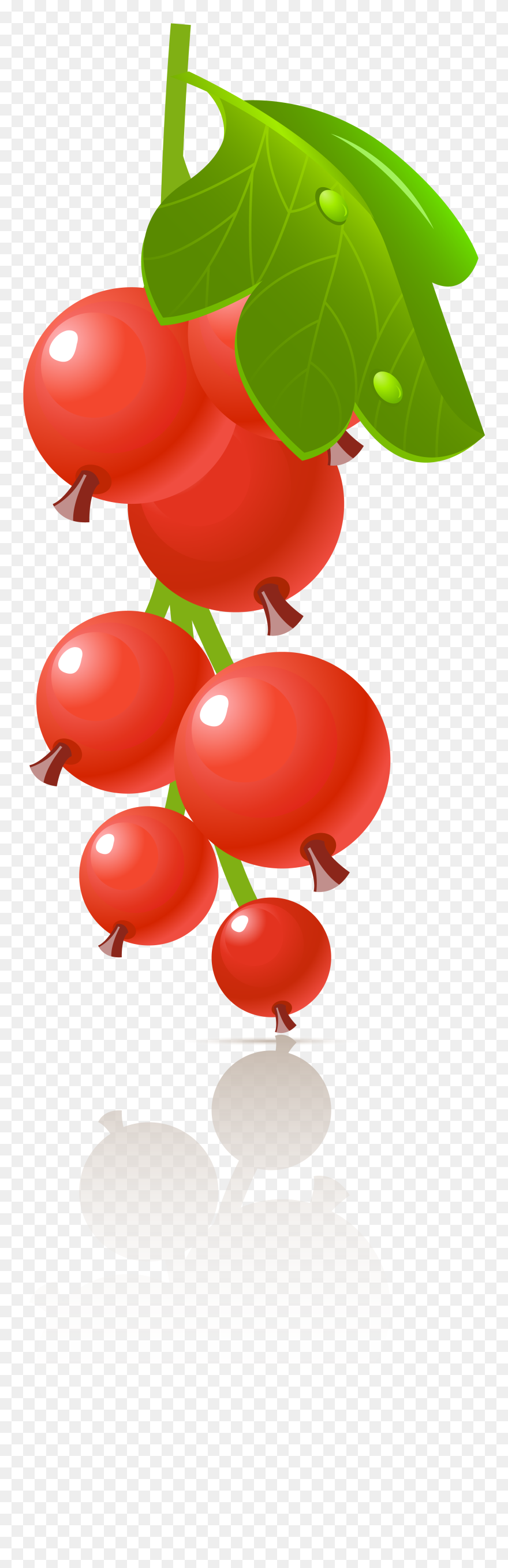 Illustration Clipart