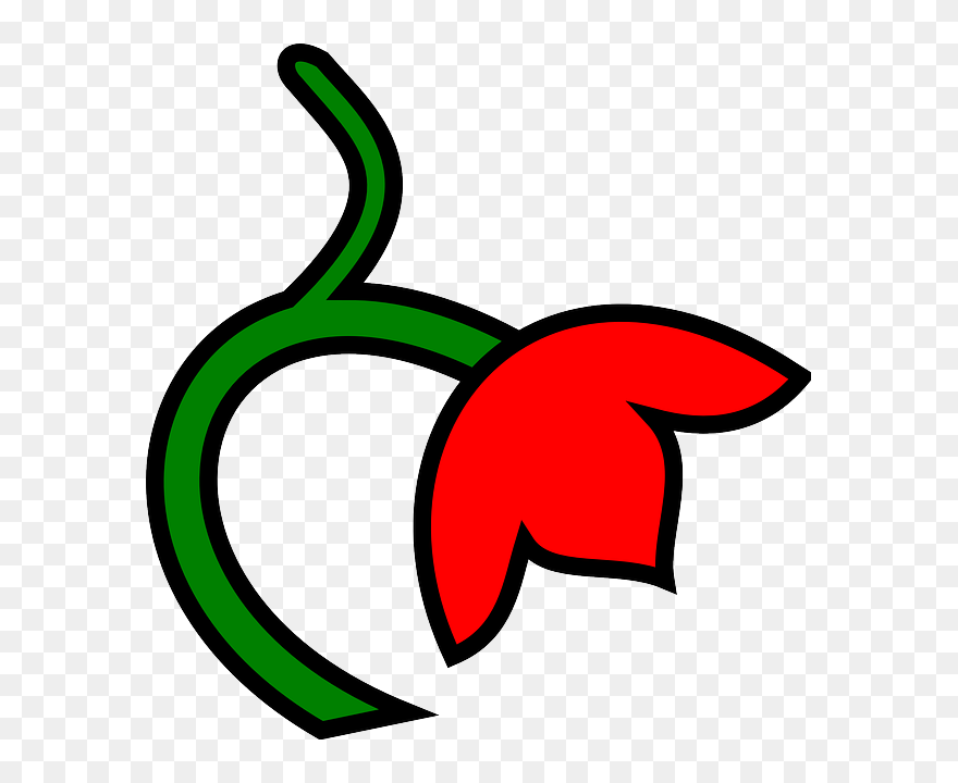 Three, Red, Green, Leaf, Flower, Down, Color, Plant - Flower Clipart Colour Png Files Transparent Png