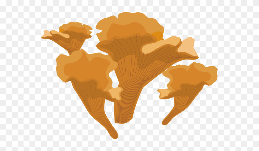 Mushrooms-1585576308 Clipart