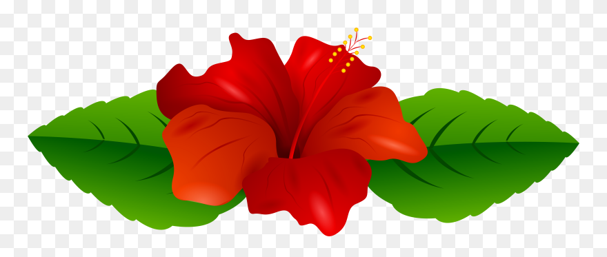Red Hibiscus Transparent Png Clip Art Image - Clip Art