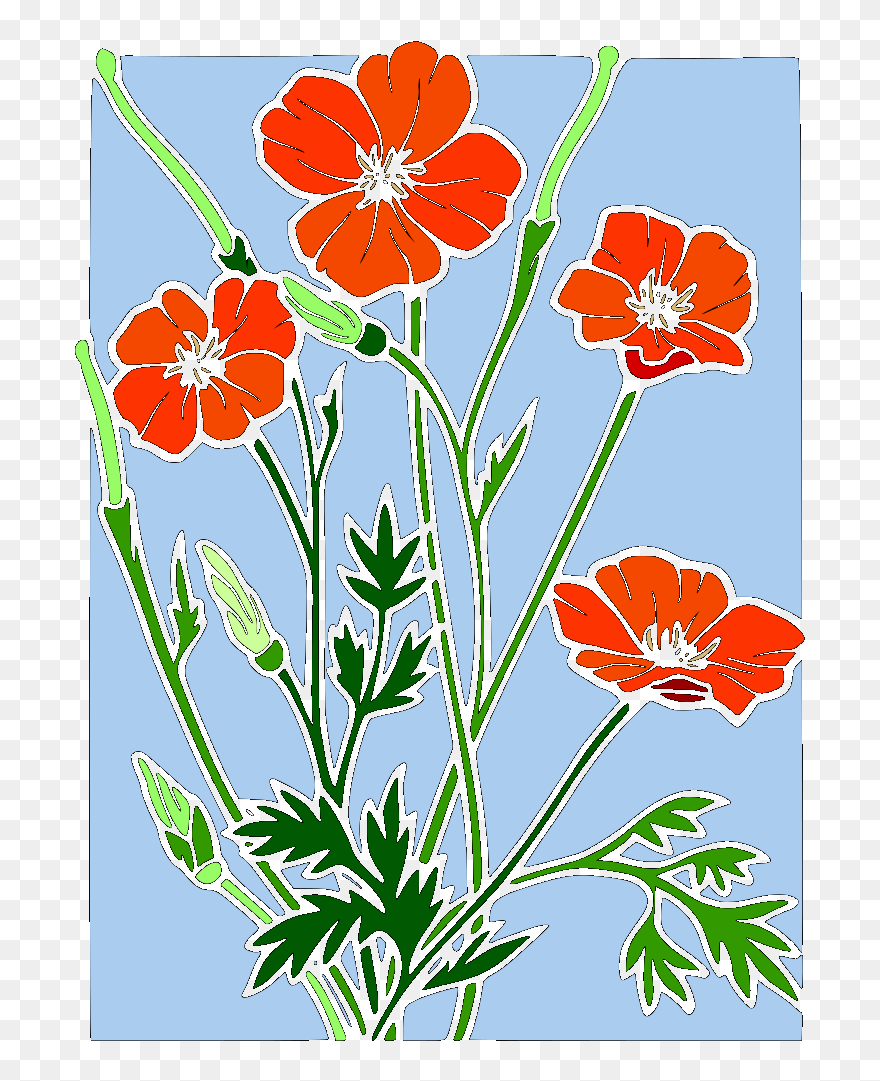 Hawaiian Hibiscus Clipart