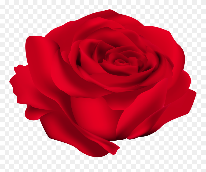 Rose Flower Clip Art "src="data - Png Download