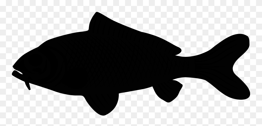 Marine Mammal Black & White - Clip Art - Png Download