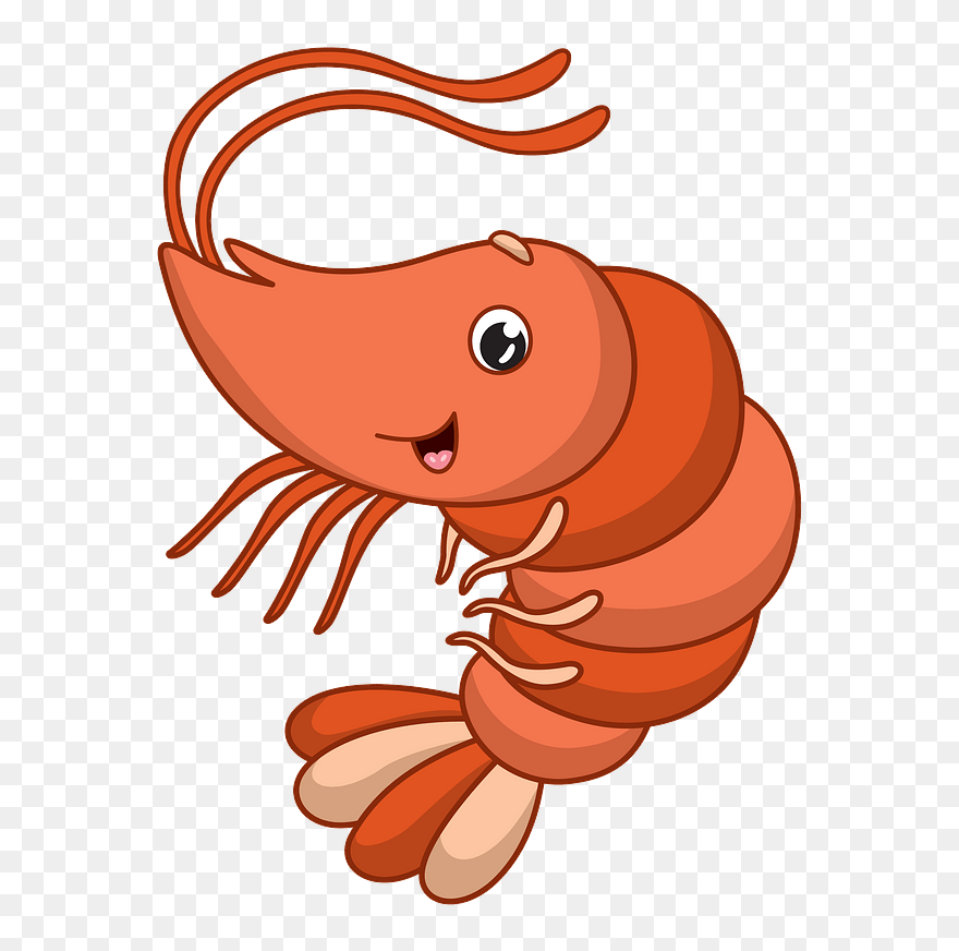 Shrimp Clipart - Say No To Llamas - Png Download