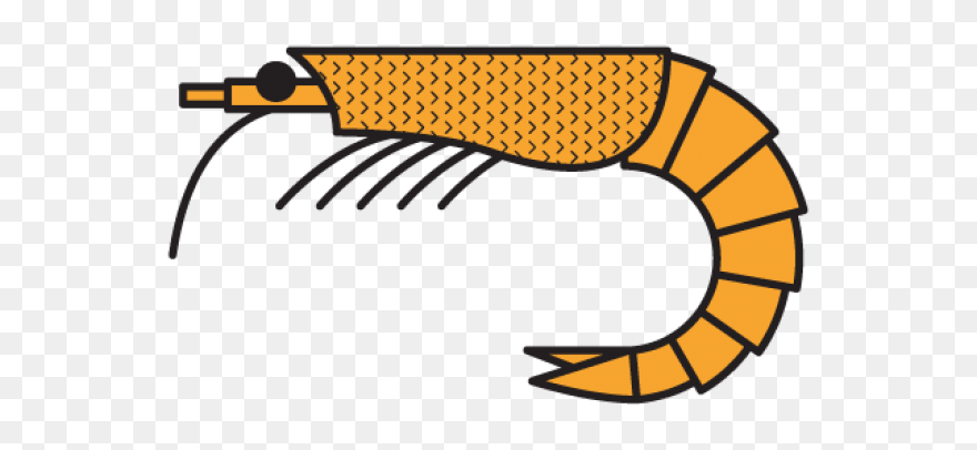 Clip Art - Png Download
