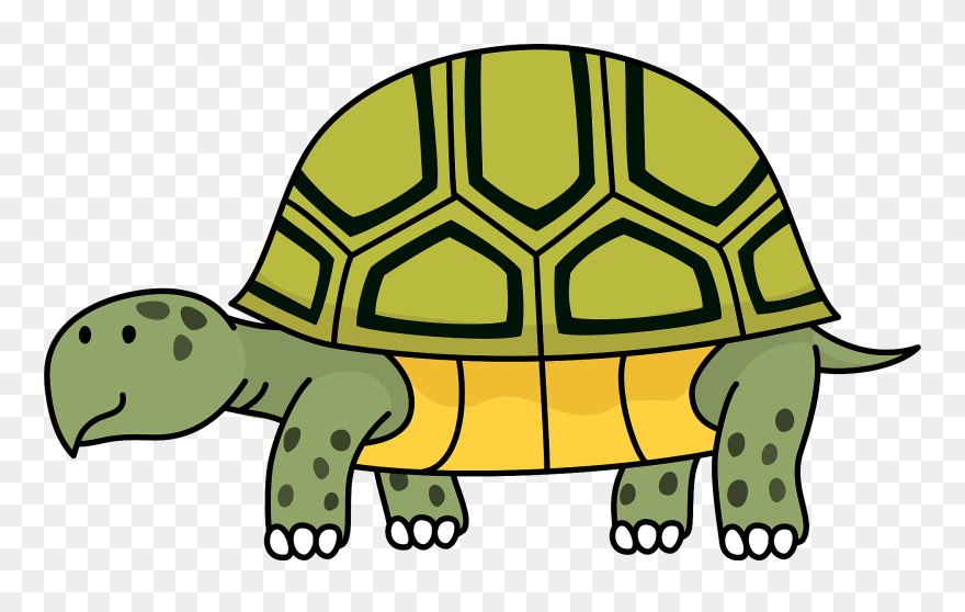 Tortoise Images Clip Art - Png Download
