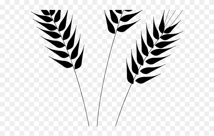 Wheat Clipart Black And White - Black And White Wheat - Png Download