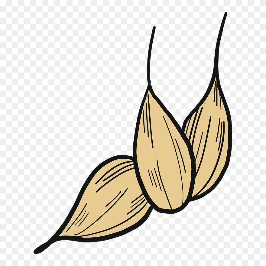 Wheat Grains Clipart - Png Download