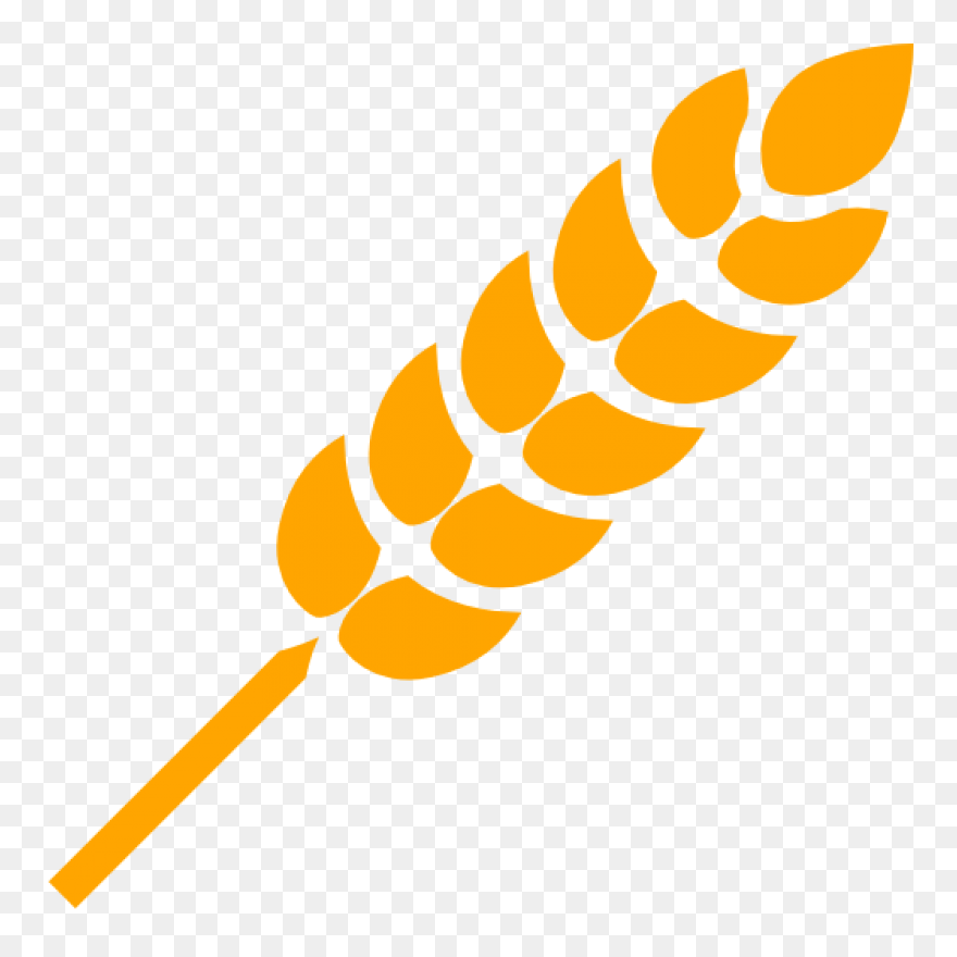 Wheat Png Image - Transparent Background Wheat Png Clipart