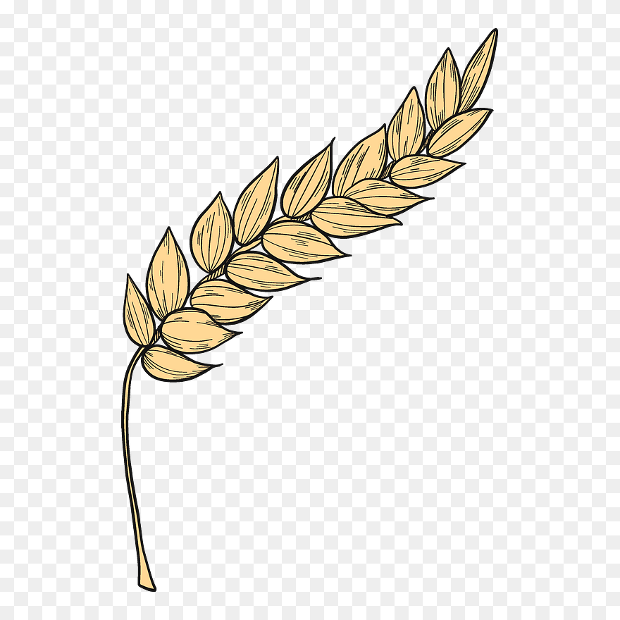 Wheat Clipart - Png Download