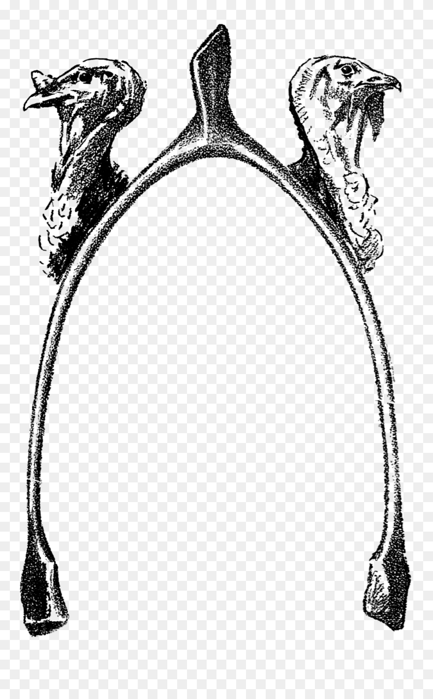 Thanksgiving Wheat Clipart Vector Library Thanksgiving, - Vintage Thanksgiving Borders Clipart - Png Download