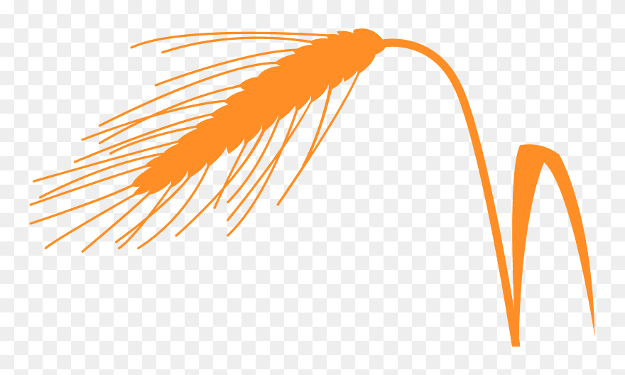 Clip Art - Png Download