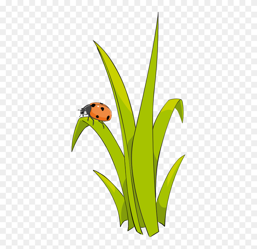 Cute Grass Clipart - Png Download