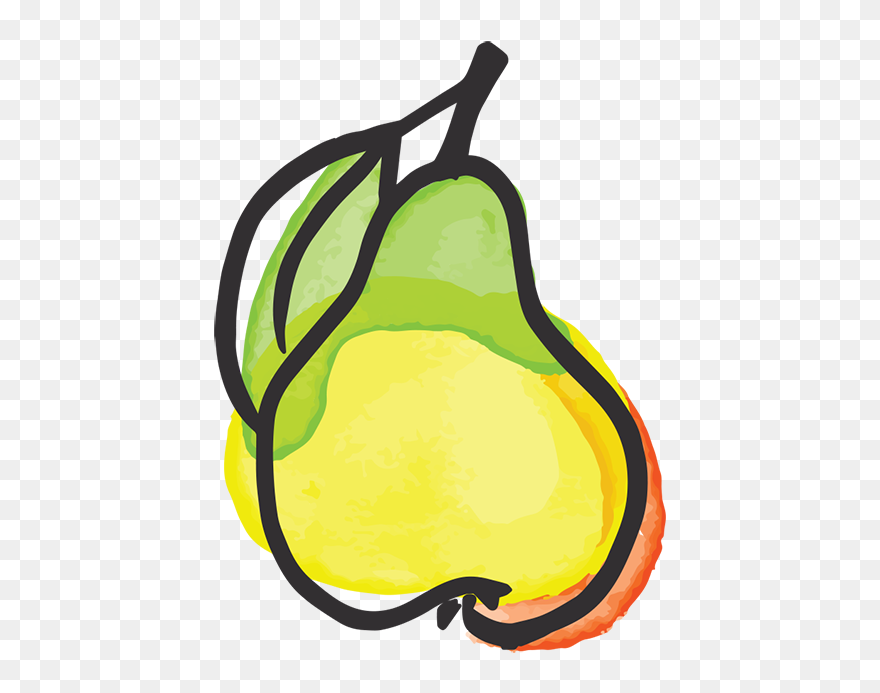 Fruits Clipart Pear - Pear Illustration - Png Download
