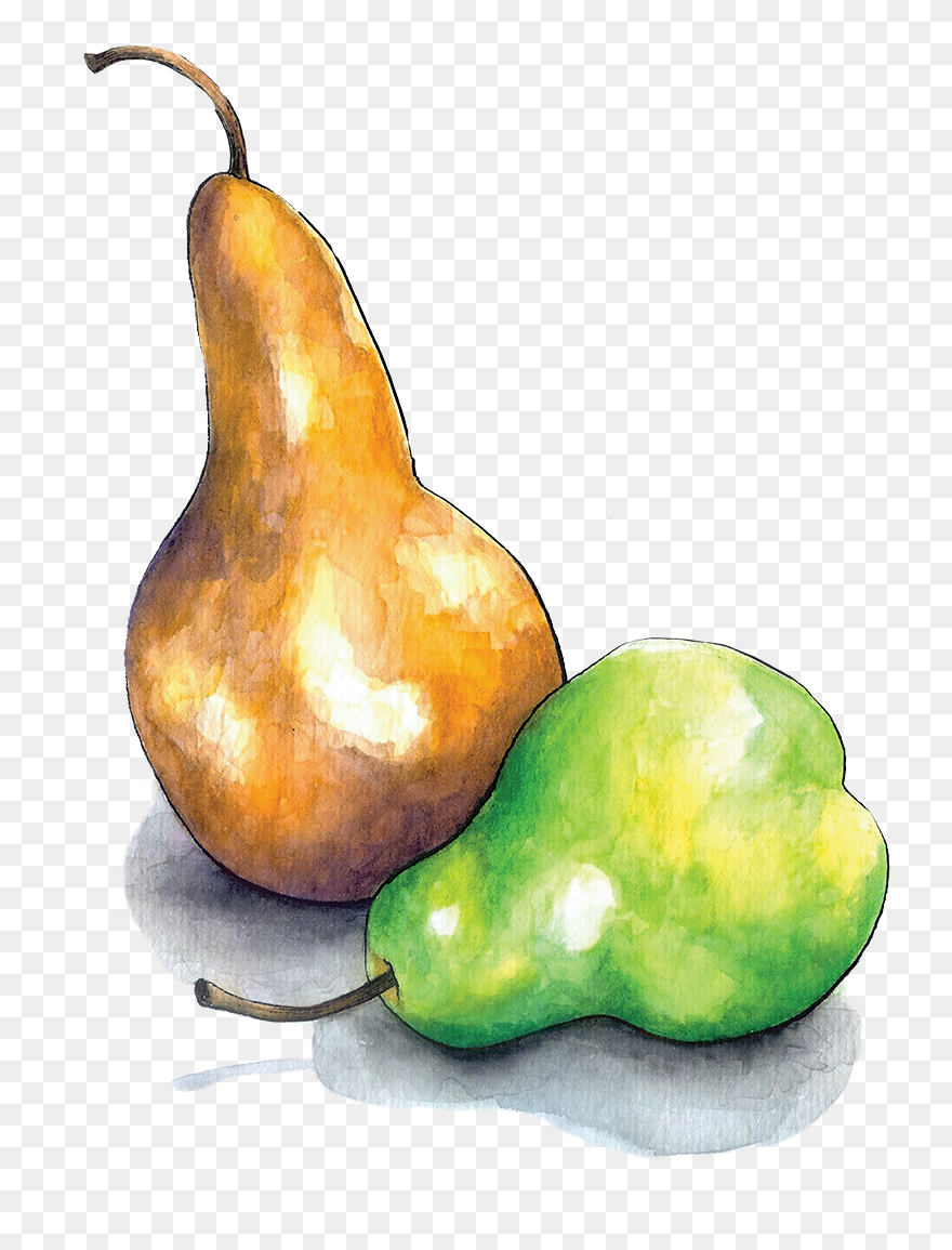 Drawn Pear Nashpati - Pear Dots Drawing Clipart