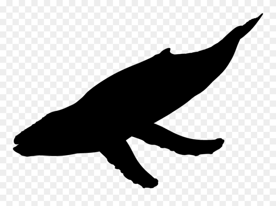 Unicorn Silhouette Head Png Clipart