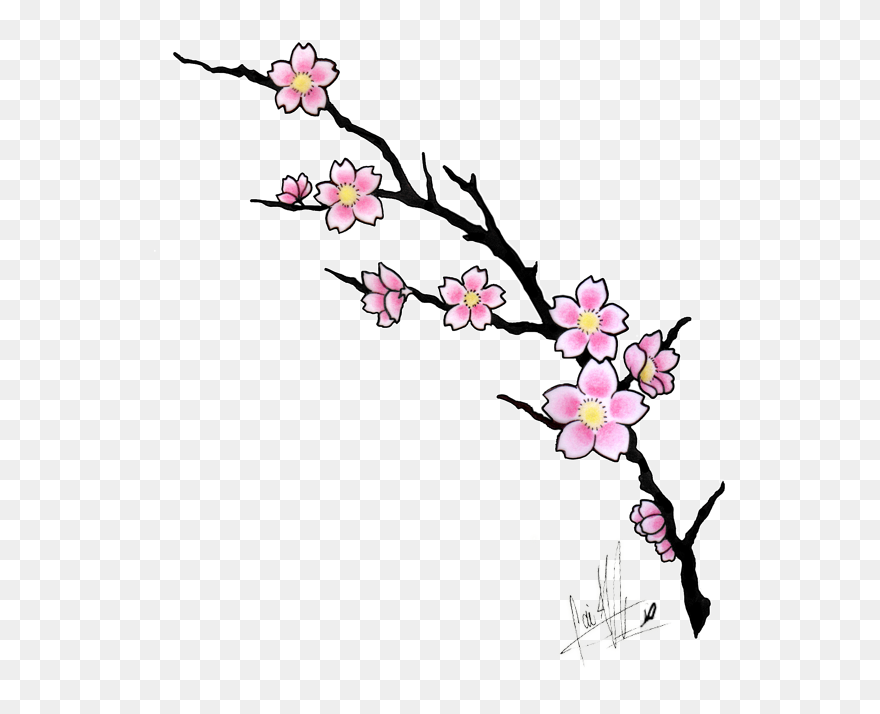 Free Cherry Blossom Tree Png, Download Free Clip Art, - Cherry Blossom Tattoo Design Transparent Png