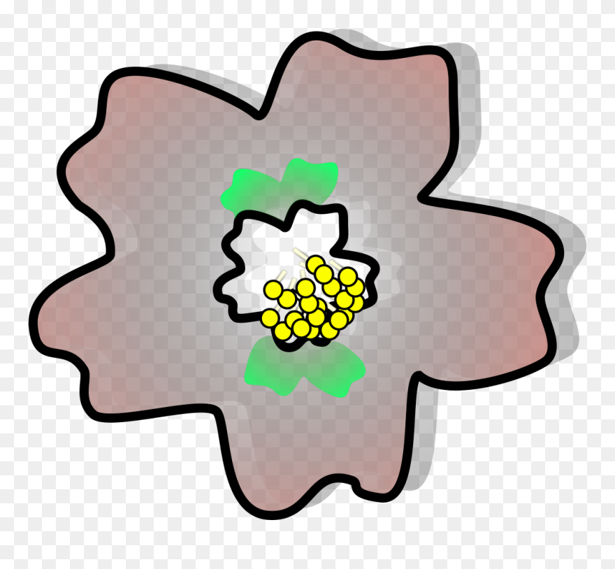 Cherry Blossom Clipart