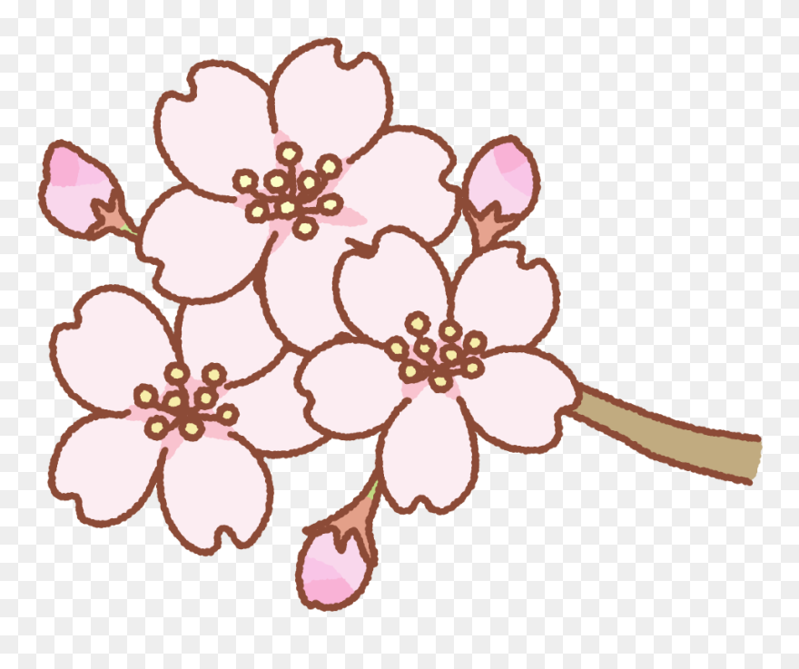 桜の花のフリーイラスト Clip Art Of Cherry Blossom Flower - Png Download