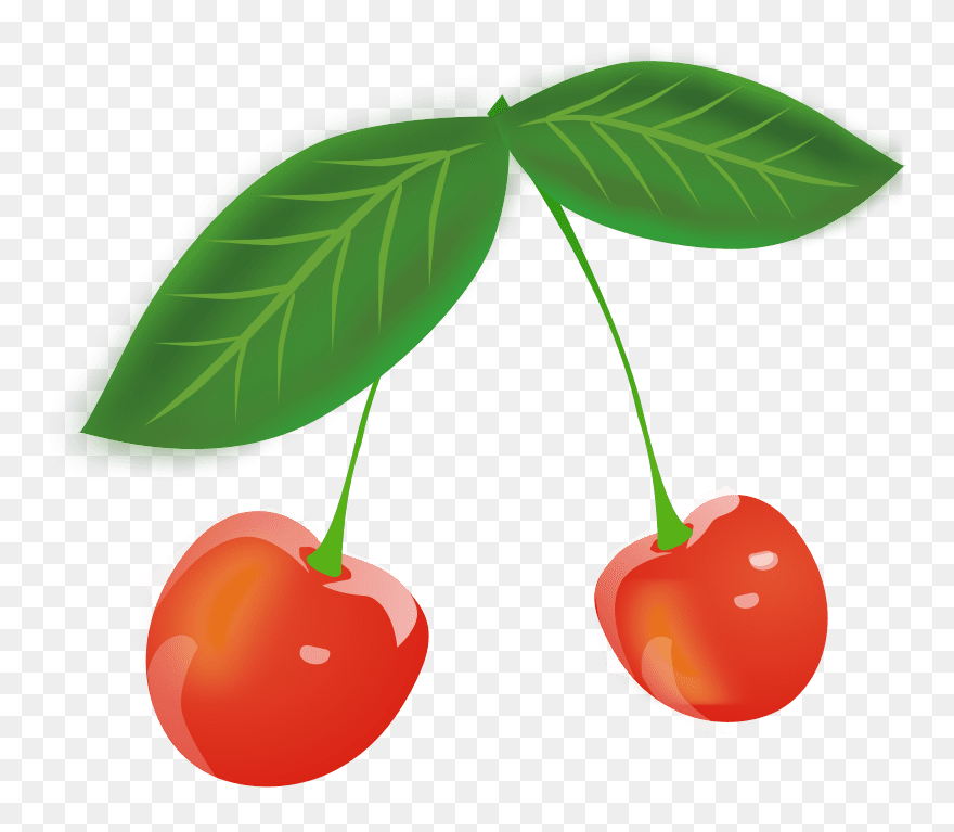 Cherries - Cherry Leaves Clipart - Png Download